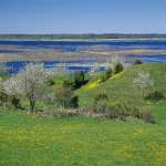 180 Vår vid Hornborgasjön i Västergötland