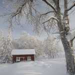 194 Vinter vid Arvidstorp, Billingen i Västergötland