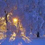 195 Vinterafton på Falbygden i Västergötland