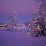 198 Juletid i Baltorp, Västergötland