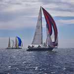 214 Segling vid Sandhamn i Stockholms Skärgård