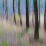 27 Stensjön, Molla i Västergötland