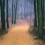 30 Söderåsen i Skåne