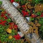 31 Stora Sjöfallet i Lappland