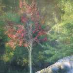 35 Höströnn Baltorp i Västergötland