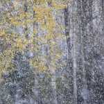 38 Första snön Baltorp i Västergötland