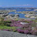 80 Kosteröarna i Bohuslän