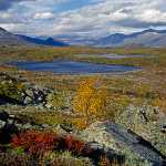 16 Stora Sjöfallet i Lappland