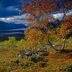 17 Stora Sjöfallet i Lappland