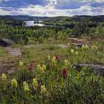 6 Idhults klppänga i Östergötland