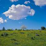 203 Valle i Västergötland