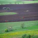 42 Odlingslandskap med biologisk mångfald Falbygden i Västergötl.