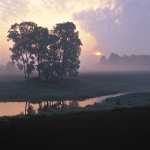 127 Morgonstämning, Nossan Fåglum i Västergötland