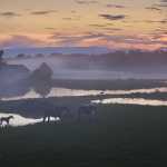 133 Våtmark Barne-Åsaka i Västergötland