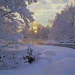 136 Vintermorgon vid ån Nossan i Västergötland