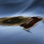 101 Spegling vid Forshall, Nossan i Västergötland