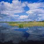 86 Hornborgasjön i Västergötland