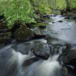 88 Vår forsande Nossan vid Hudene i Västergötland