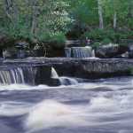 89 Vårforsar i ån Nossan i Västergötland